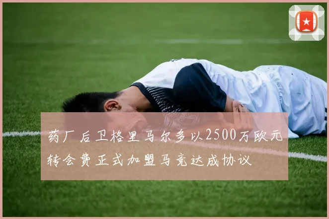 药厂后卫格里马尔多以2500万欧元转会费正式加盟马竞达成协议
