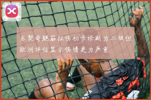 东契奇腿筋拉伤初步诊断为二级但欧洲评估显示伤情更为严重